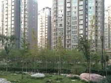 采光充足 楼层好 视野好 总高20层小高层