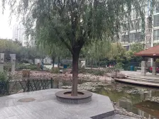 观景房3室 永威物业 环境好 双地铁