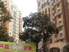 三环内 70年产权 房间多 价格低 有钥匙 无个税