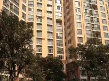 一楼前院 有露台 负一半层在地上 当毛坯 无抵押