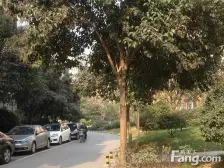 三环内,电梯洋房有露台,精装拎包入住,花园式社区