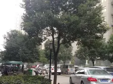 6号线地铁口 朝南1室 双气低楼层 拎包住 急售