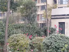 桐柏路地铁5号线,19年次新小区,电梯洋房