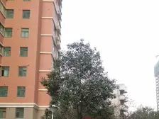 米兰阳光,南向一室,诚售,总价低首付低