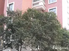 科技市场 标准一室 无抵押 可贷款 满5唯1无个税 急售