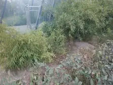 地铁口一室一厅采光视野好,配套齐全