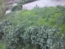 二环地铁200米,一室一厅,低总价,压力小,适合过度