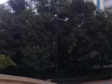 紫荆山路 创新街旁 电梯小高层 顶层 花园 一梯两户