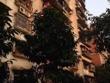 鱼洞 江丰街二房