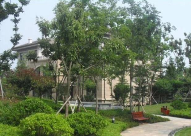 正一绿苑商住楼实景图