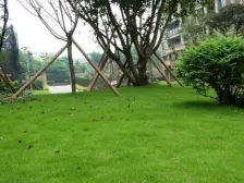 茶园新区 长桥左岸二房75万