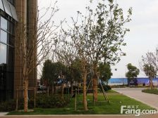 雅居乐花园3室2厅南