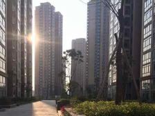 后坂新城一区 3室2厅 南