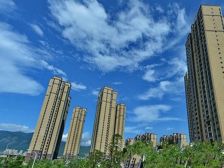 后坂新城一区 1室1厅 南