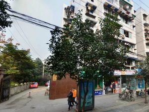 绿园小区2室1厅西北