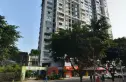 锦江岸实景图