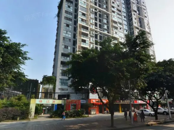 锦江岸实景图