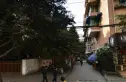 九里园实景图
