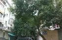挹华里实景图