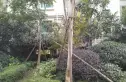 佳日雅苑实景图