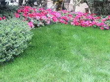 湘潭碧桂园 2室2厅 南