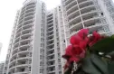 中茵丽景星城实景图