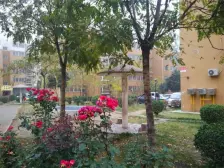 珠江荣域 2室2厅 南 北