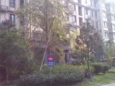 海洲新城3房2卫通透飞机户型中间楼层满五唯一拎包入住