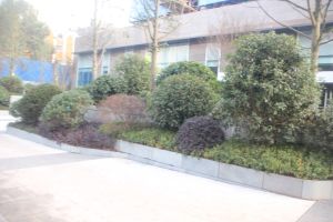 中隆国际嘉熙中心3室1厅南
