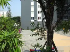 花卉园 黄金堡芷苑四房