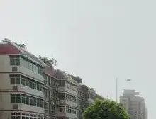 花卉园轻轨站50米。黄金堡芷苑151平,业主安心出售