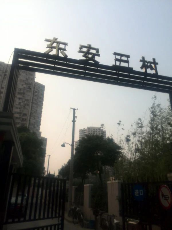 实景图