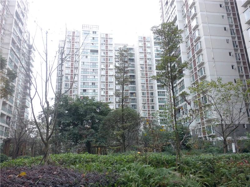 小区相关图