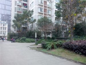 都会路苑2室1厅东南