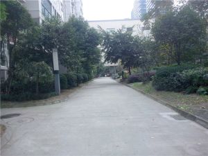 都会路苑3室2厅南