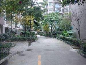 上锦雅筑3室1厅南北