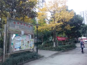 上锦雅筑3室1厅西