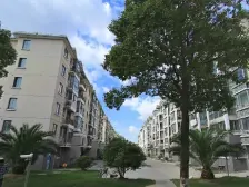 15号线旁奉贤新城16单元 一手动迁