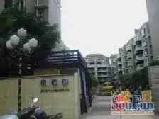 人民广场 永川橄榄郡三房37.8万