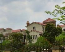 全国百强天桃 绿化高 物业贴心 业主诚心出售