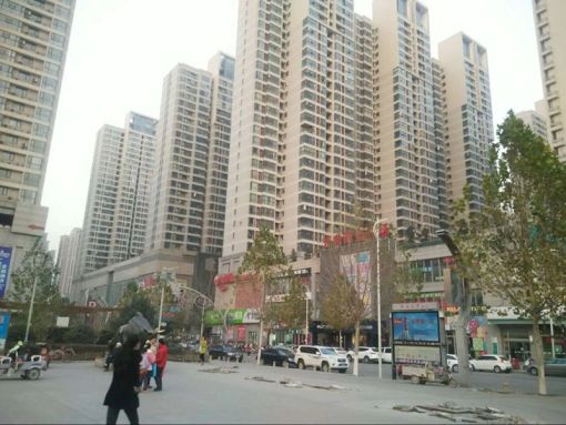  ������������A�� 1�� 1�� 48ƽ�� 