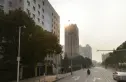 常青1号实景图