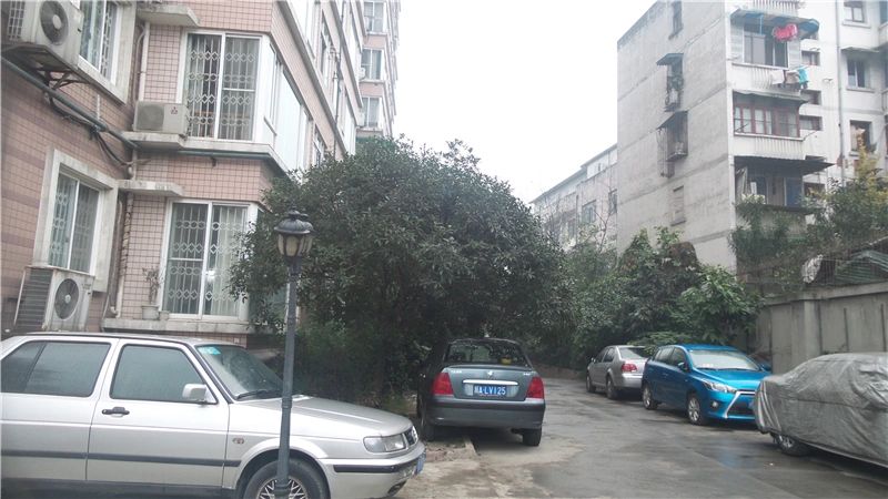 小区相关图