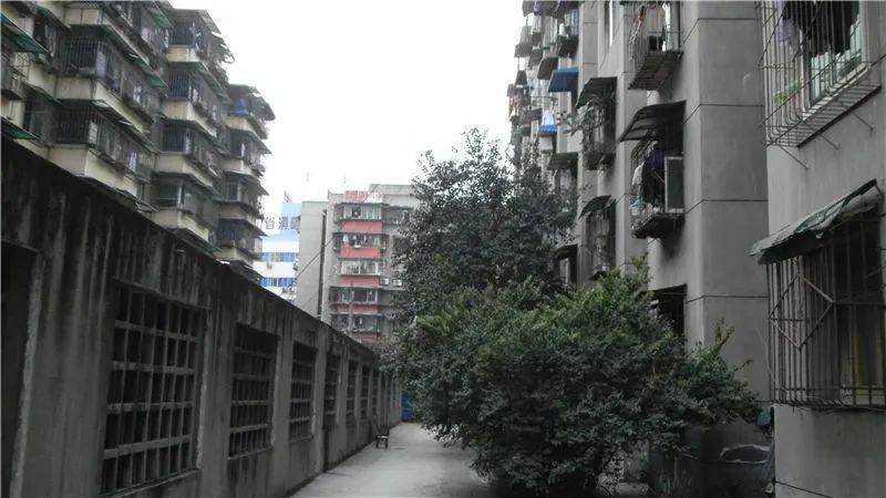 小区相关图