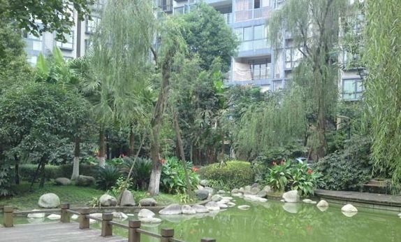 华都星公馆一期实景图