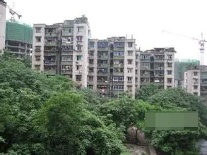 桥鸿一村实景图