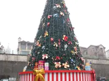 茶园新区 法蓝西莊邸(小洋楼)三房79万