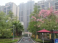 大户型南北双阳台设计,对流通风采光好