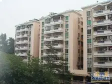 阳光家园温馨两房 户型方正 南北通透