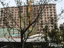 新出,高楼层,视野采光好,无遮挡,满五V壹,带车位